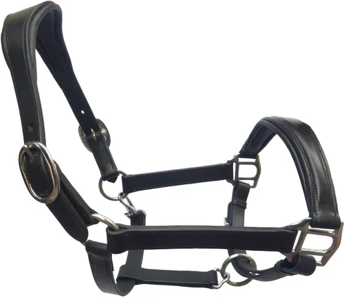 Miniatura 2 de Cabestro acolchado liso de cuero DD Hecho a mano y ajustable para barbilla y garganta halter Cómodo y cuenta con la corona elevada y la nariz