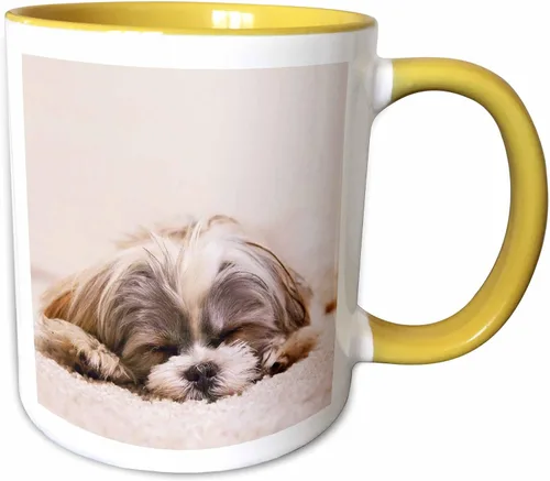 Miniatura 8 de 3dRose Shih Tzu. Durmiendo. Mejor amigo. Taza roja de dos tonos de 11 oz