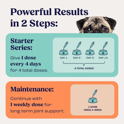 Miniatura 5 de Summit Canine - Suplemento para articulaciones y movilidad para perros pequeños, condroitina líquida natural con suministro liposomal para artritis