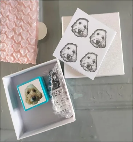 Sello personalizado para retrato de mascota, sello de cara de mascota personalizado, sello de tinta personalizado, Ta personalizado, sello para Verde