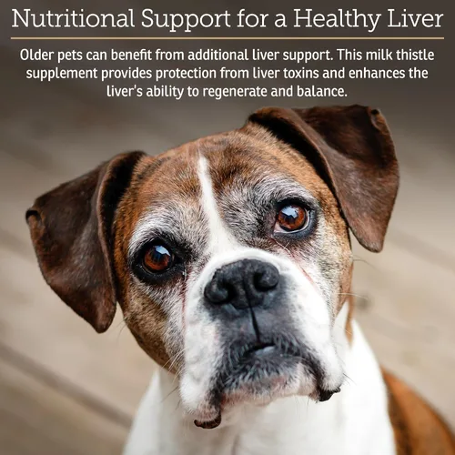 Miniatura 3 de Rx Vitamins Hepato Support para perros y gatos - Suplemento de apoyo hepático con cardo mariano para perros y gatos - Suplemento hepático