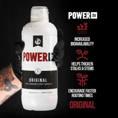 Miniatura 4 de PowerSI - Suplemento de sílice original de 1 litro, aditivo de fortalecimiento vegetal con ácido monosilícico, mejora la absorción de nutrientes