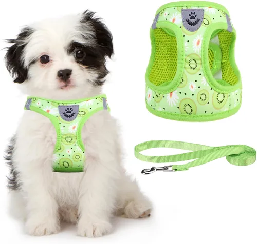 Miniatura 23 de Arnés de malla suave para cachorros – Juego de arnés y correa para perros pequeños, ajustable y cómodo chaleco reflectante acolchado para cachorros