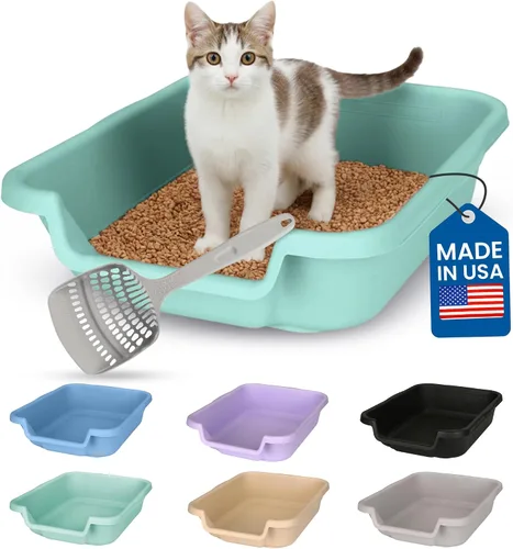 Miniatura 19 de KittyGoHere - Caja de arena para gatos mayores, sartén pequeña con cuchara jumbo de mango largo, caja de arena para gatos de entrada baja, ligera
