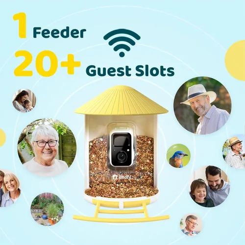 Miniatura 4 de NETVUE by Birdfy - Comedero inteligente para pájaros con cámara, cámara de observación de aves, video de captura automática y detección