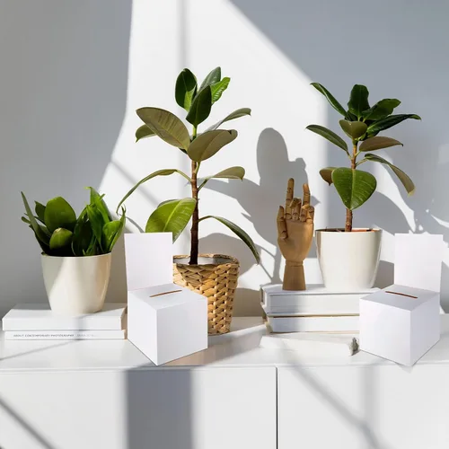 Miniatura 7 de Juego de 12 cajas para rifas, urnas y buzones de sugerencias con ranura, cajas de cartón para rifas de 15 x 15 x 15 cm con ranura para boletos