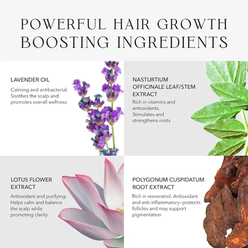 Miniatura 6 de KIWABI ROOT BEAUTÉ - Acondicionador para el cuero cabelludo – Tratamiento para el crecimiento del cabello y el cuero cabelludo para adelgazamiento