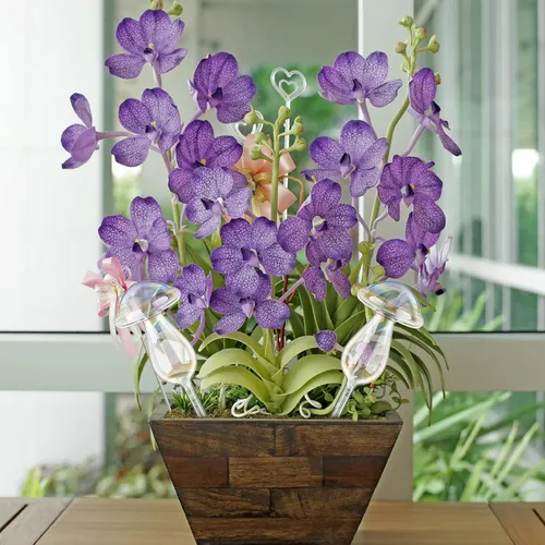 Miniatura 5 de meekoo 10 globos de riego de plantas de vidrio para riego automático al aire libre, dispositivo de inserción de maceta con degradado de arco iris