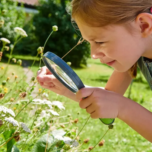 Miniatura 2 de HABA Terra Kids - Lupa con 3 opciones de ampliación