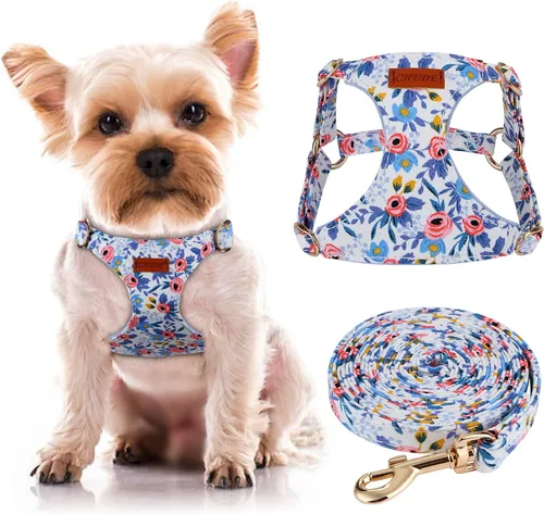 Miniatura 6 de CHEDE Arnés para Perro sin Tirones con Patrón Floral - Arnés para Perro Ligero y Suave, Arnés Ajustable para Perros Pequeños y Juego de Correa