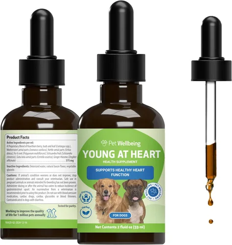 Pet Wellbeing Young at Heart para perros - Apoyo a la salud cardíaca para personas mayores, bienestar cardiovascular con espino y agripalma -