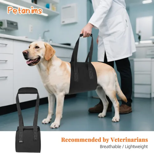 Miniatura 4 de Petanims Arnés de elevación para perros con asa para perros grandes, soporte de pierna trasera, adecuado para perros discapacitados o lesionados