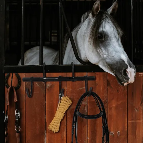 Miniatura 7 de Estante de acero con ganchos giratorios para caballos, ganchos de brida colgantes negros, ganchos portátiles para tachuelas, organizador