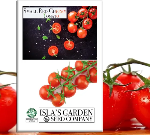 Semillas pequeñas de tomate cereza roja para plantar, más de 500 semillas tradicionales por paquete, semillas de jardín de Isla (semillas de jardín