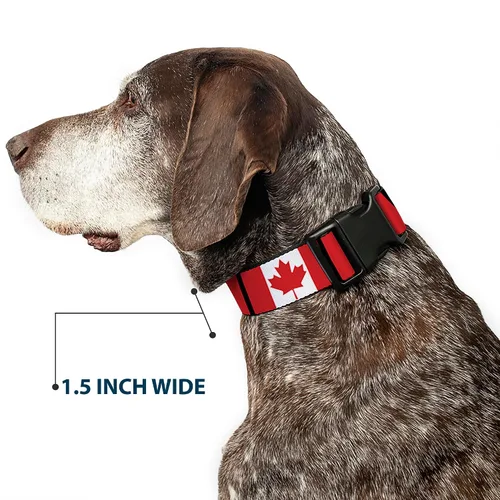 Miniatura 7 de Buckle-Down PC-W30367-L - Collar de clip de plástico para banderas de Canadá, grande/15-26