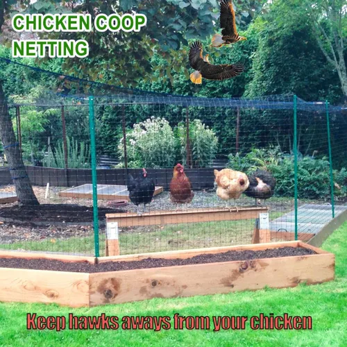 Miniatura 2 de Red antipájaros para gallineros de jardín, red de jardín de 1 pulgada sobre aros de jardín, red de techo de aves de corral, red negra de 25 x 50