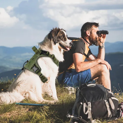 Miniatura 5 de WINGOIN Arnés táctico verde para perros pequeños, arnés resistente sin tirones con asa, ajustable, reflectante, militar, K9, chaleco para mascotas