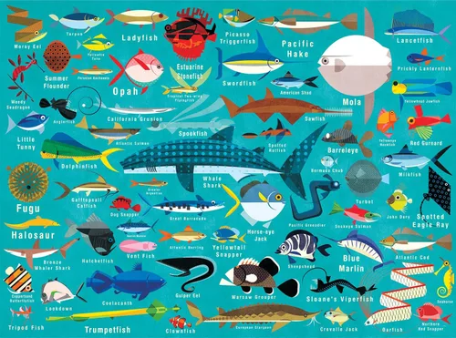 Mudpuppy Ocean Life - Rompecabezas de 1000 piezas para adultos y familias, rompecabezas familiar con ilustraciones coloridas de peces, tiburones y
