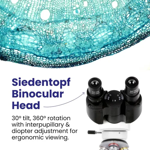 Miniatura 4 de AmScope Serie B120 Microscopio compuesto binocular LED para estudiantes y profesionales - Aumento 40X a 2500X - Incluye cámara USB 2.0 de 0.3MP
