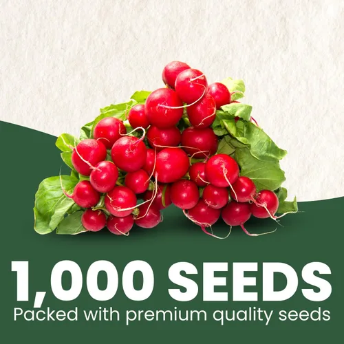 Miniatura 36 de Shishito Pepper – 60 semillas premium para plantar – Pimienta especial dulce, salada y de alto rendimiento para la temporada 2026 – Bolsa de 500
