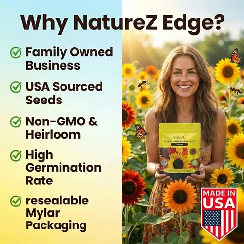 Miniatura 6 de NatureZ Edge 1300+ Semillas de Girasol Paquete de Variedad de Jardín, Semillas de Girasol a Granel para Plantar Flores, Obtén Más Semillas
