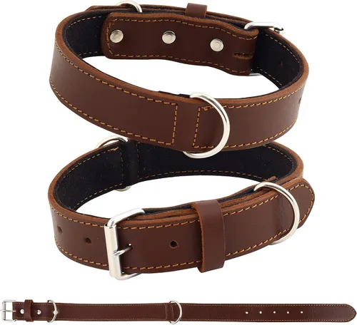 Collar de perro de cuero genuino, acolchado suave, de cuero fuerte, hebilla de níquel inoxidable | Lo mejor para cachorros, razas pequeñas, medianas