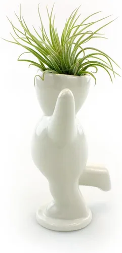 Miniatura 6 de NW Wholesaler Maceta de cerámica blanca con forma de persona feliz de 3.25 pulgadas con planta de aire Tillandsia viva, plantas de aire