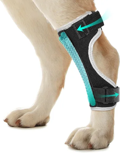 Soportes para patas de perro para patas traseras y delanteras, soporte articular de perro y tobillo para patas traseras débiles con 2 tiras de