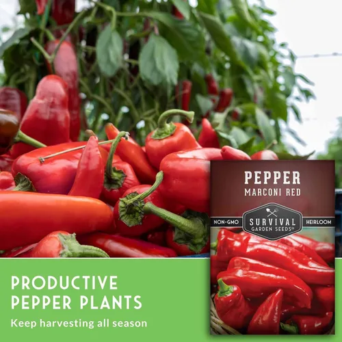 Miniatura 6 de Survival Garden Seeds - Semilla de pimiento rojo Marconi para plantar - Paquete con instrucciones para plantar y cultivar pimientos italianos dulces