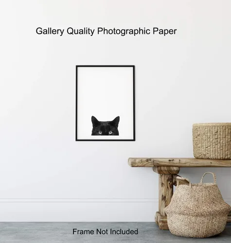 Miniatura 8 de Foto artística de pared de gato negro, impresión única de 8 x 10 pulgadas, moderna, contemporánea, 8 x 10 pulgadas, regalo para animales, mascotas