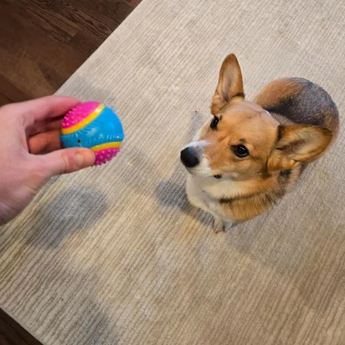 Miniatura 12 de Bola de juguete para perros Ethical Pets Sensory Ball, 2.5", Colores Variados