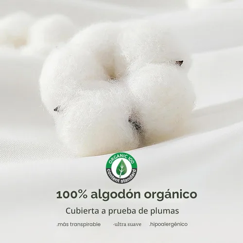 Miniatura 7 de TOPGREEN Rellenos de Almohada de Plumas y Plumón 12 x 12 pulgadas, Juego de 2, Funda de Algodón 100% Orgánico, Almohadas Decorativas Cuadradas