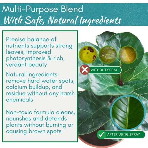 Miniatura 2 de Houseplant Leaf Shine Spray – Limpiador de hojas totalmente natural y brillo para un brillo saludable y una mejor fotosíntesis Perfecto