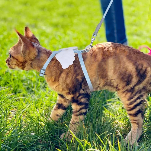 Miniatura 6 de TIESOME Juego de arnés y correa para gato, arnés ajustable degradado para gatito, arnés a prueba de escapes con correa para caminar al aire libre