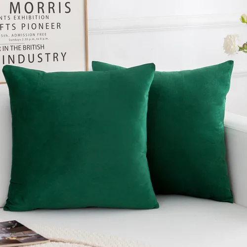 Miniatura 16 de Juego de 2 fundas de almohada decorativas de terciopelo, funda de cojín cuadrada suave para decoración del hogar para sala de estar, sofá o cama