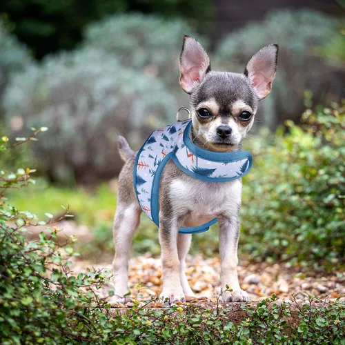 Miniatura 6 de Mile High Life Arnés para perro, chaleco floral de malla de aire para perros y gatos pequeños de 20 libras, fácil de poner, cierre fácil ajustable