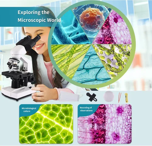 Miniatura 6 de Microscopio para adultos con oculares WF10x y WF25x, aumento de 40X-2000X, cámara USB, microscopio para adultos adecuado para laboratorio y escuela