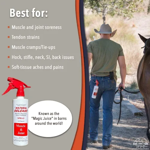 Miniatura 5 de Four Oaks Farm Ventures, Tratamiento en aerosol muscular de liberación natural, linimento de caballo para dolores musculares, dolor