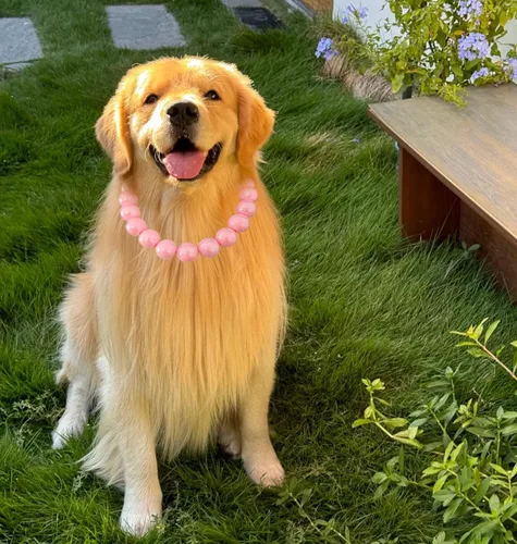 Miniatura 3 de Collar de perlas con cuentas para perro, hecho a mano, collar de perro elegante con campana, joyería para perros pequeños, cachorros (M, rosa crema)