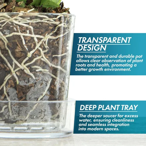 Miniatura 4 de Phoenix Vine Maceta de acrílico transparente de 3.5 pulgadas con bandeja, maceta de orquídeas con agujeros de drenaje, platillo profundo para riego