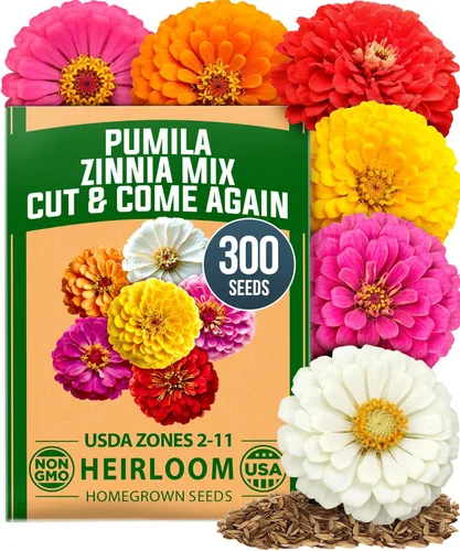 Miniatura 125 de HOME GROWN Mezcla de semillas germinantes de primera calidad, microgreens 118,200 semillas para cultivo en interiores, brócoli, alfalfa, rábano