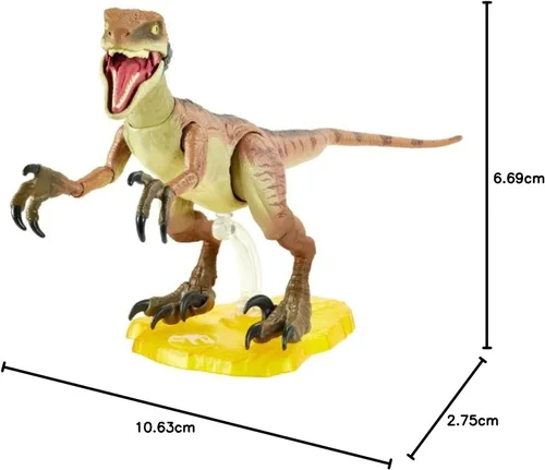 Miniatura 5 de Jurassic World Toys Store Velociraptor Echo - Figura de acción coleccionable de 6 pulgadas (6.0 in) con detalles auténticos de película
