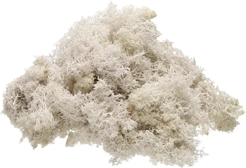 Miniatura 7 de uxcell Musgo de reno preservado, musgo falso de 4 onzas para manualidades, musgo seco artificial para decoración, manualidades, terrarios, plantas