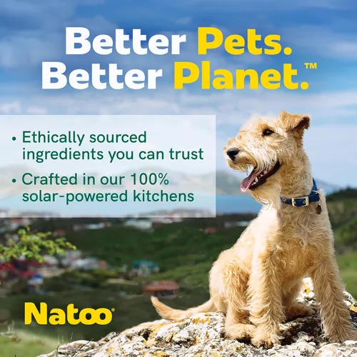 Miniatura 6 de NATOO Golosinas saludables para perros grandes, galletas crujientes sabor coco y mango, golosinas naturales para perros, ricas en Omega 6