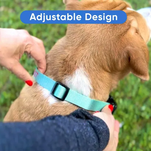 Miniatura 4 de Pawtitas Collar personalizado para perro, collar de perro pequeño, bordado con nombre, número de teléfono, collar de cachorro, collar ajustable