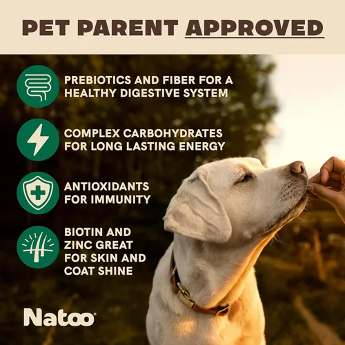 Miniatura 2 de NATOO Golosinas saludables para perros grandes, galletas crujientes sabor coco y mango, golosinas naturales para perros, ricas en Omega 6