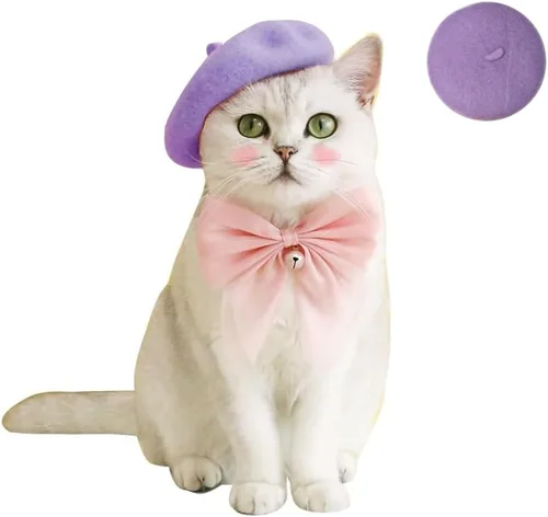 Miniatura 4 de Gorras de boina para perro, gorras para gatos, moda de cuatro estaciones, divertidas, de lana, cómodas (rosa)