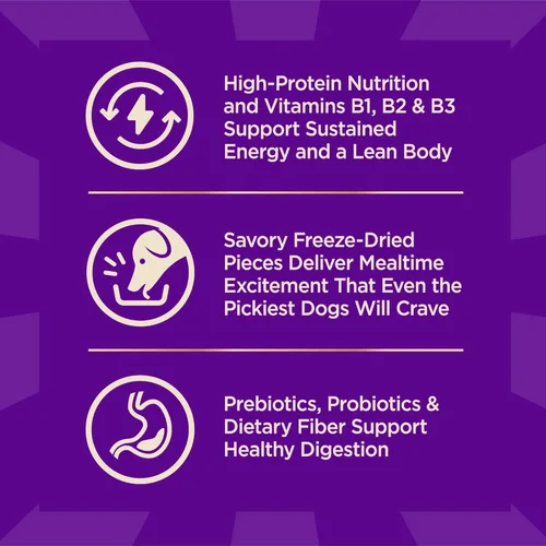 Miniatura 6 de Wellness CORE+ Alimento seco para perros adultos de raza pequeña con trozos liofilizados, croqueta de grano saludable, natural, alta en proteínas
