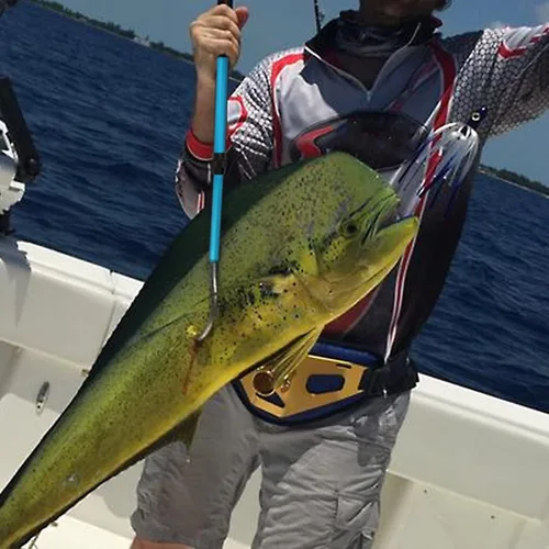 Miniatura 5 de Sanlike - Gaff telescópico para pesca con lanza de acero inoxidable, aparejo de pesca marina, mango suave de aleación de aluminio para herramienta