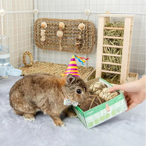 Miniatura 7 de andwe Pelotas de juego de animales pequeños, juguetes masticables rodantes y golosinas para conejillos de indias, chinchilla, conejito degus, jaula